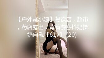 如此佳人 值得试驾 婕咪-日租女友遊樂趣[212P+2V/1.4G]