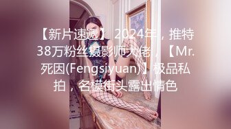 【新片速遞】 2024年，推特38万粉丝摄影师大佬，【Mr.死因(Fengsiyuan)】极品私拍，名模街头露出情色