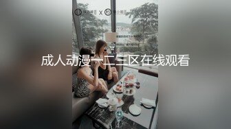 成人动漫一二三区在线观看