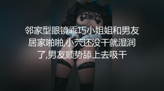 骚妇后入、肛交