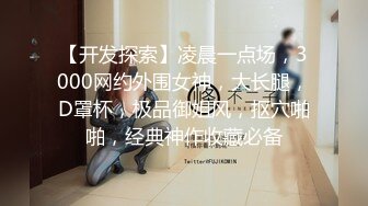 国产TS系列比女人还美的赵恩静 换好情趣内衣后迫不及待叫小帅哥进来啪啪啪 边打飞机边被操爽到不行