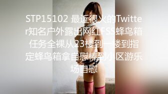 STP15102 最近很火的Twitter知名户外露出网红FSS蜂鸟箱任务全裸从23楼到一楼到指定蜂鸟箱拿自慰棒到小区游乐场自慰