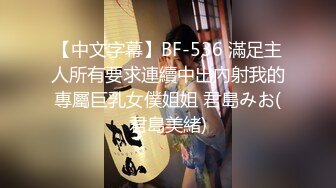 阿黛尔的生活.火热蓝色.BD720P.高清中英双字