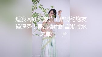 (麻豆傳媒)(mfk-0044)(20240117)性愛秘友