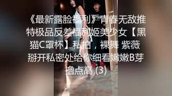 操女仆渔网yyds