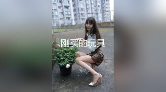 紅斯燈影像 RS018 引誘我的騷逼巨乳同事