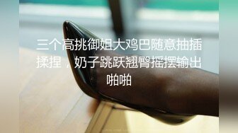 风韵少妇、工厂老板娘喜欢刺激，就带她车震，任意发挥，艹得她脸都红了，淫声充斥车内！