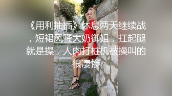 超清后人视角，菊花很清晰