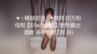 ★☆稀缺资源☆★推特30万粉母狗【Ella小骚狐】野外露出 调教 多P付费订阅 (6)