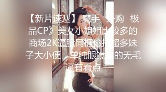 国企美艳少妇姐姐的口活