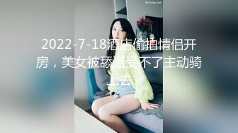 好友花妹2