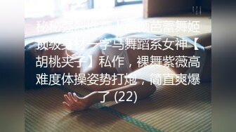 骚妇来姨妈，车中口交