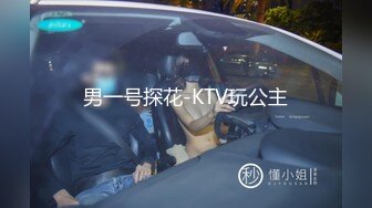 男一号探花-KTV玩公主