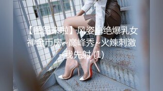   [中文字幕] 420HOI-236 芽花（22歲）素人美少女.色女.肉食女子.喜歡喝酒營業職員.性愛拍攝攝影