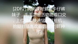 蜜桃影像PME261巨乳小姐姐带领我破处