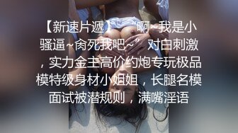 我为人人论坛地址 .icuOF各种丰乳肥臀美人妖合集 (3)