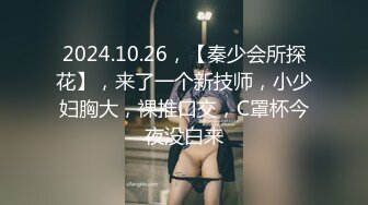 2024.10.26，【秦少会所探花】，来了一个新技师，小少妇胸大，裸推口交，C罩杯今夜没白来