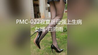 PMC-022寂寞岳母强上生病女婿-白熙雨