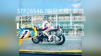 STP26546 ?极品尤物? 新晋高端名媛极品大长腿黑丝御姐▌香菜公主▌空姐下班后的肏穴生活 蜜穴水嫩多汁 爆射极品尤物