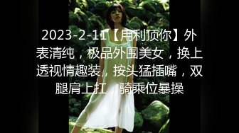 STP27094 绝对极品！气质超棒顶级女神！约炮操逼  情趣透视装黑白丝袜 美腿足交调情 翘起屁股求操一脸享受 VIP0600