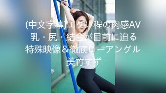 (中文字幕)エグい程の肉感AV 乳・尻・結合が目前に迫る特殊映像＆徹底ローアングル 美竹すず