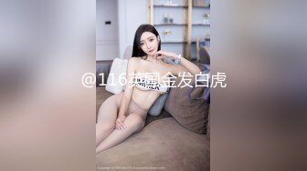 @116英国金发白虎