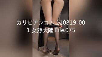 カリビアンコム 110819-001 女熱大陸 File.075