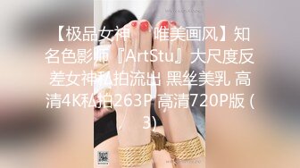 【极品女神❤️唯美画风】知名色影师『ArtStu』大尺度反差女神私拍流出 黑丝美乳 高清4K私拍263P 高清720P版 (3)