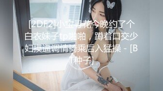 [2DF2]小宝寻花今晚约了个白衣妹子tp啪啪，蹲着口交少妇摸逼调情骑乘后入猛操 - [BT种子]