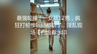 美人妊婦～悶絶中出し性交 4時間