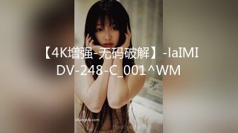 【4K增强-无码破解】-laIMIDV-248-C_001^WM