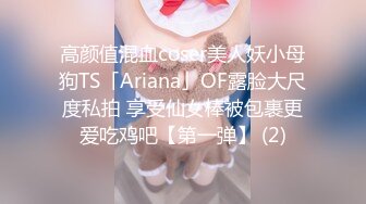 高颜值混血coser美人妖小母狗TS「Ariana」OF露脸大尺度私拍 享受仙女棒被包裹更爱吃鸡吧【第一弹】 (2)