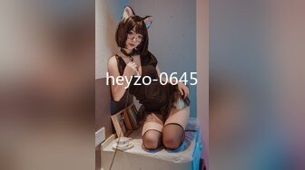 heyzo-0645