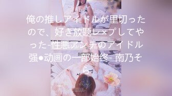 俺の推しアイドルが里切ったので、好き放题レ×プしてやった-性悪アンチのアイドル强●动画の一部始终- 南乃そら