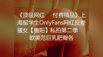 《顶级网红☀️付费精品》上海留学生OnlyFans网红反差骚女【唐阳】私拍第二季☀️欧美范巨乳肥臀各