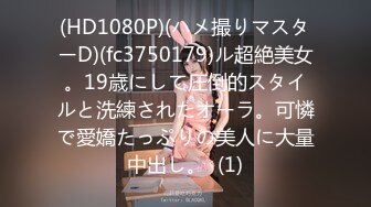 媲美秦先生91新晋大神sweattt作品与极品车模偷情呻吟超刺激1080P高清原版