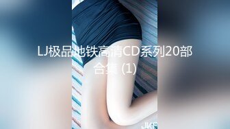 LJ极品地铁高清CD系列20部合集 (1)