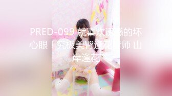 JDKR053 精东影业 海滩搭讪美女回房间 三叶奈奈