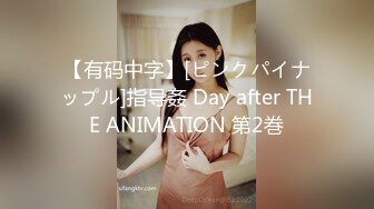 【有码中字】[ピンクパイナップル]指导姦 Day after THE ANIMATION 第2巻