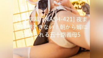 (中文字幕) [NASH-421] 夜まで我慢できない！朝から婿に求められる五十路義母5